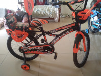 Orange Bicycle Sonet
