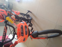 Orange Bicycle Sonet