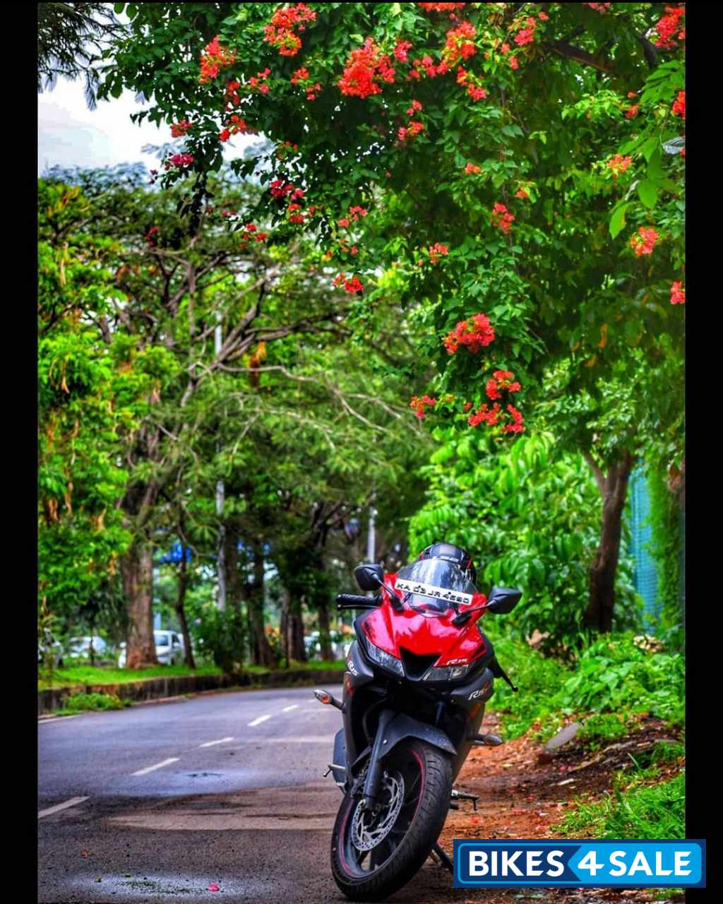 Red & Grey Yamaha YZF R15 V3