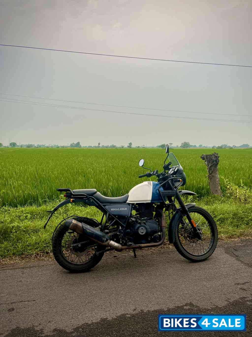 Lake Blue Royal Enfield Himalayan BS VI