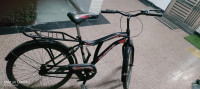 Bicycle  Sunbird 2020 Model