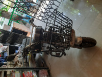 Brown KOMAKI XGT Cat 2.0