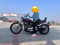 Billiard Red Harley Davidson Low Rider