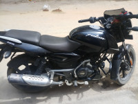 Bajaj Pulsar 125 Split Seat 2021 Model