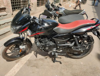 Bajaj Pulsar 125 Neon Disc Single Seat 2023 Model