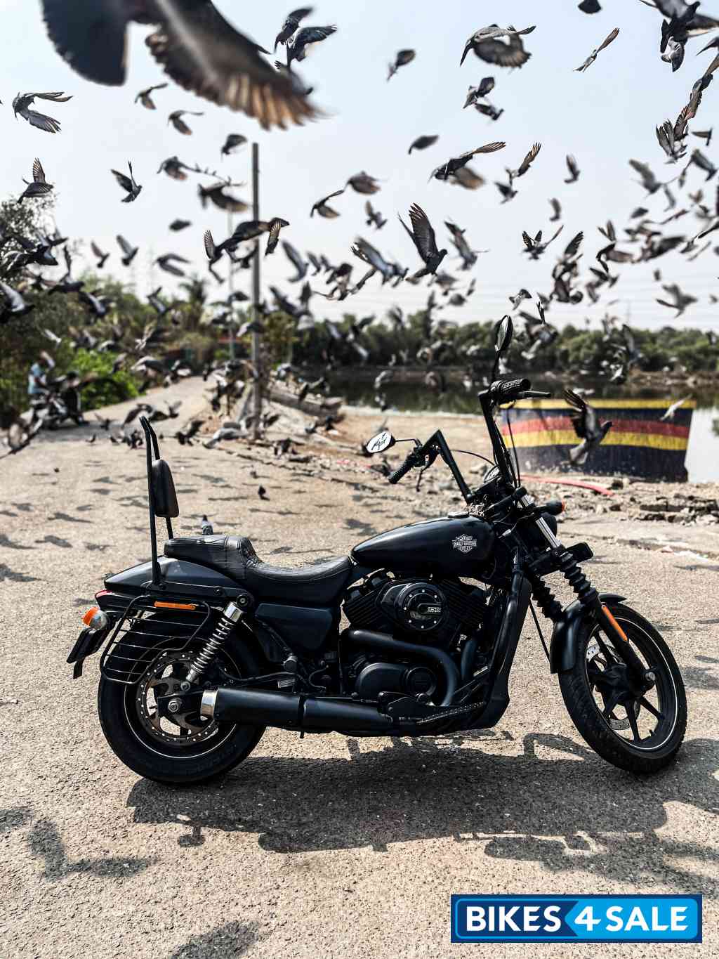 Harley Davidson Street 750