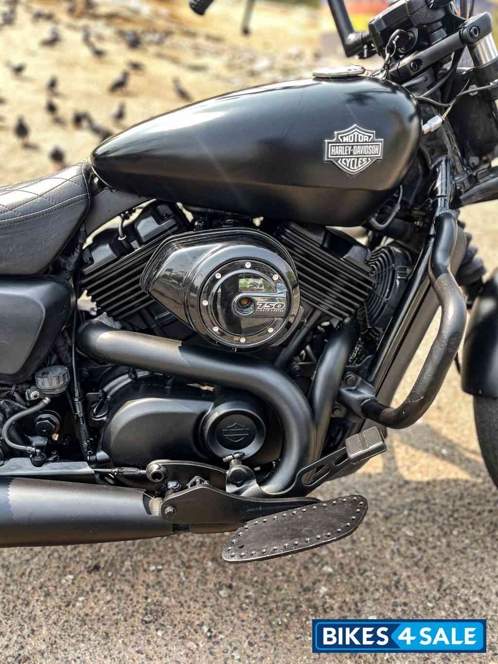 Harley Davidson Street 750