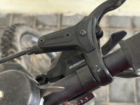 Bicycle  Polygon premier 4