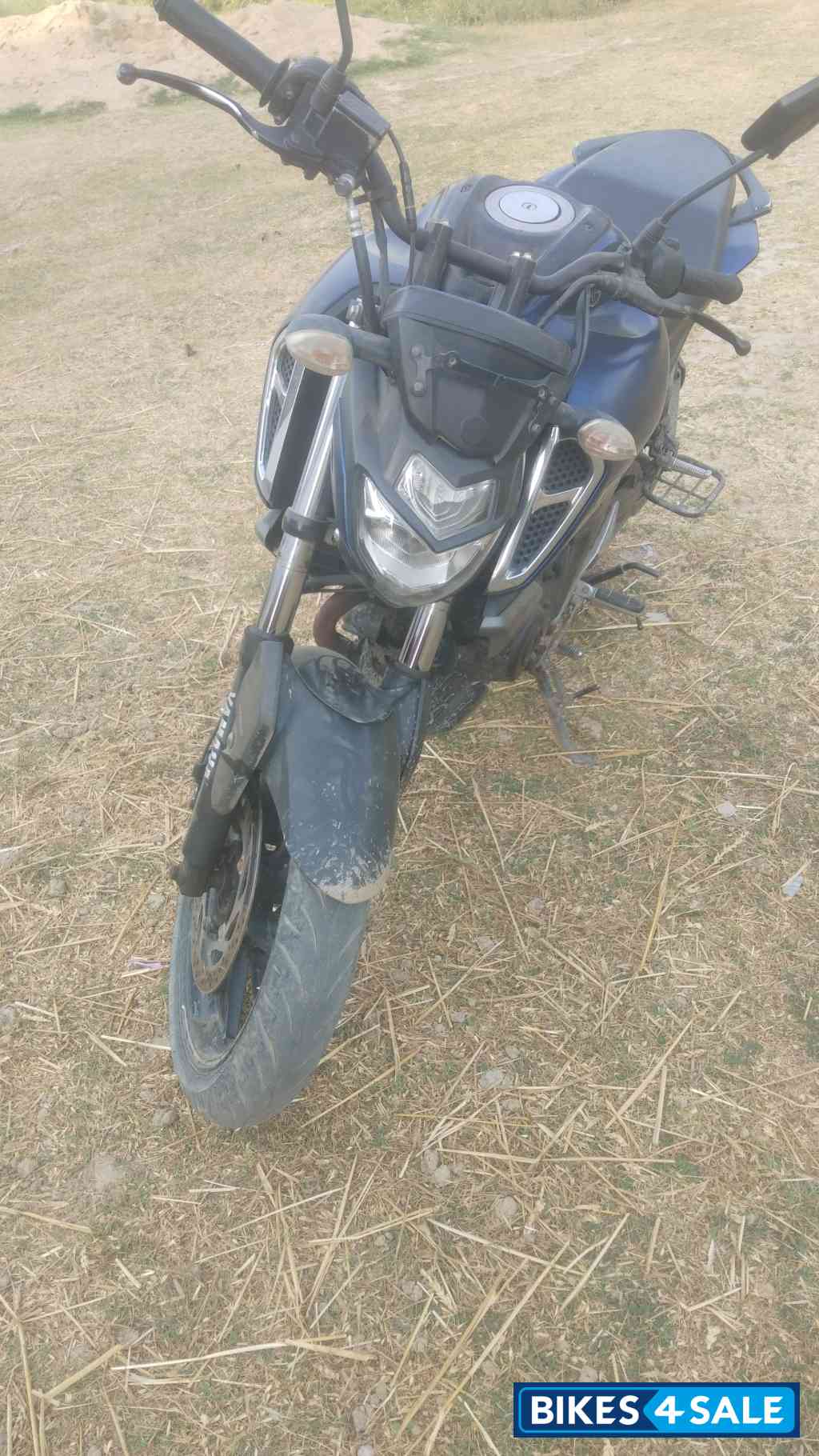 Blue And Black Yamaha FZ-S