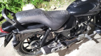 Black Bajaj Avenger Street 160 BS6