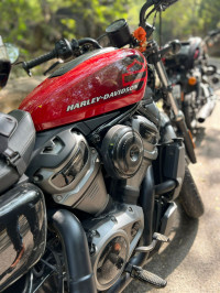 Harley Davidson 2022 Nightster