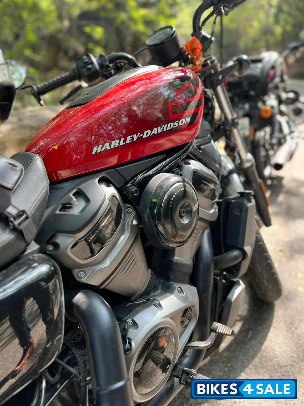 Harley Davidson 2022 Nightster