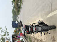 Black Triumph Scrambler 400 X