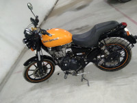 Orange Royal Enfield Thunderbird X 500