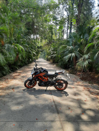 KTM Duke 250 2020 2020 Model