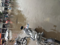 Bajaj Avenger Cruise 220 2023 Model