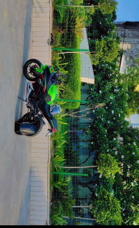Krt Lime Green Kawasaki Ninja 300 BS6 2022