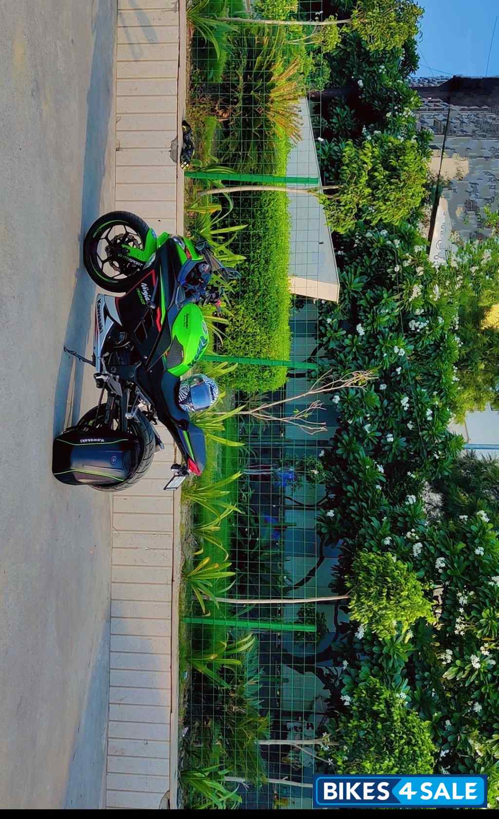 Krt Lime Green Kawasaki Ninja 300 BS6 2022