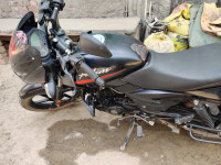 Bajaj Pulsar 125 Carbon Fibre Disc Single Seat 2023 Model