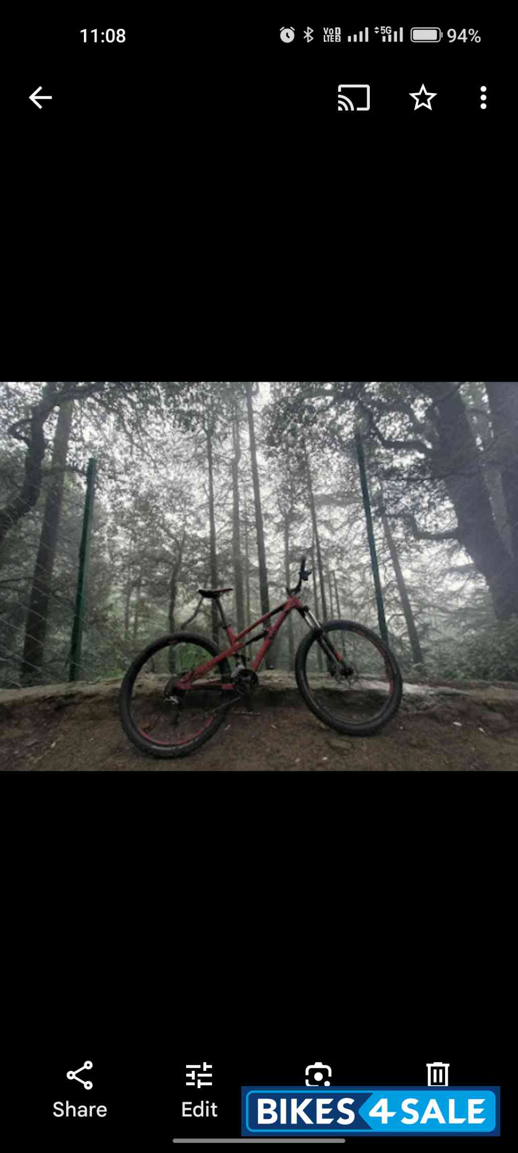 Bicycle  Polygon Siskiu D5