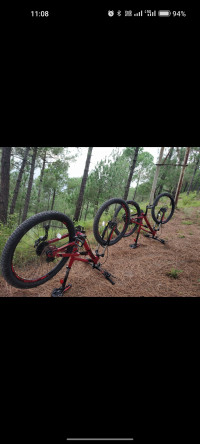 Bicycle  Polygon Siskiu D5