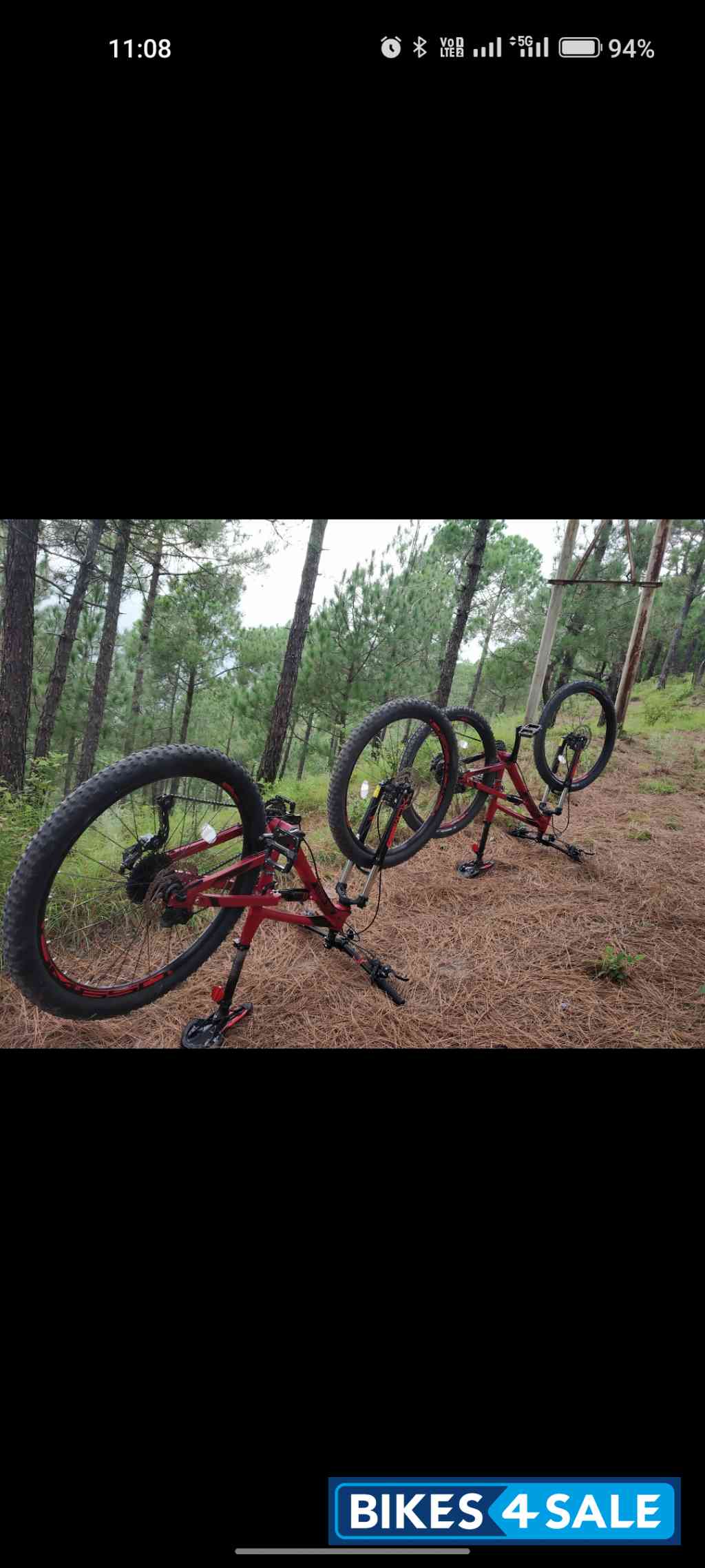 Bicycle  Polygon Siskiu D5