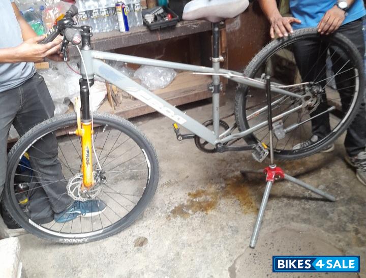 Bicycle  Frog Defeatr