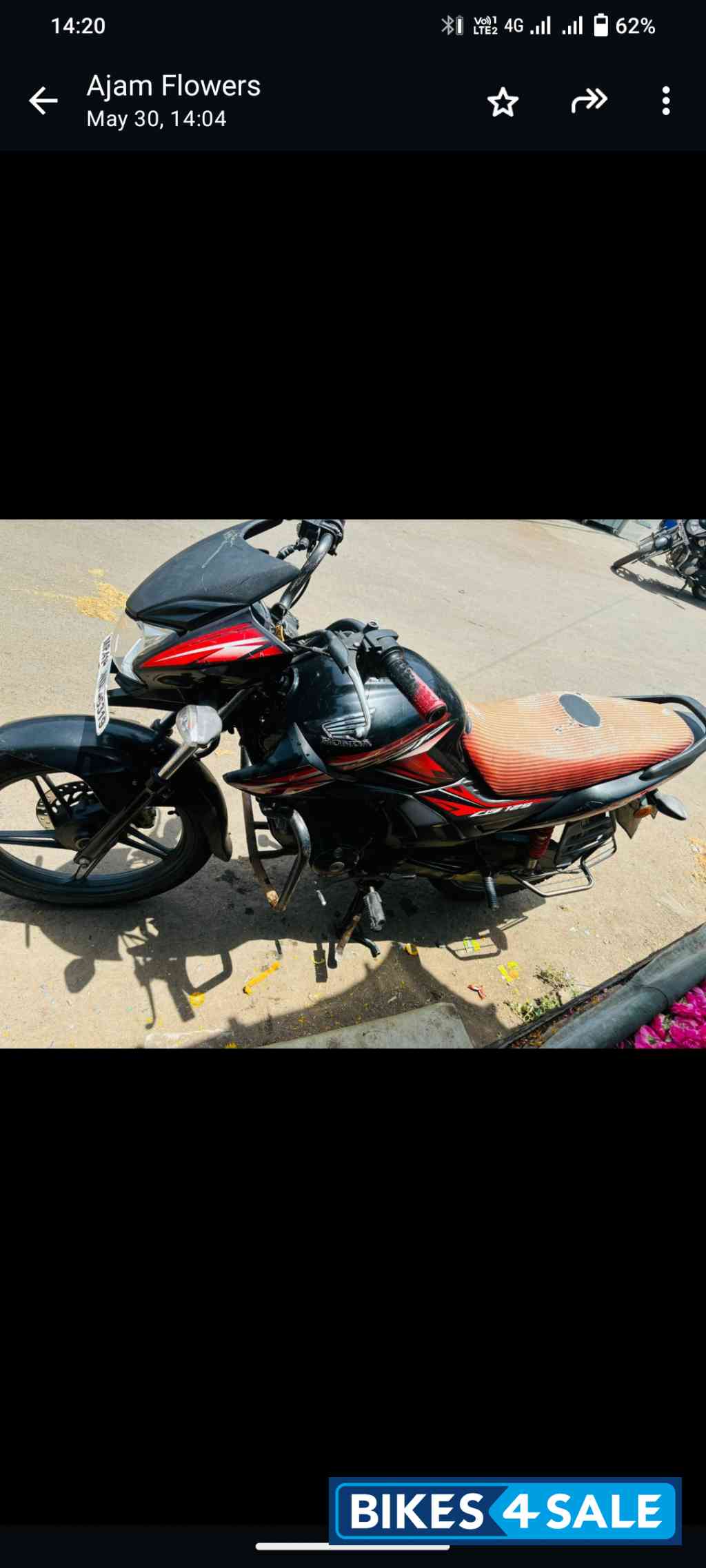 Indian Chieftain Dark Horse