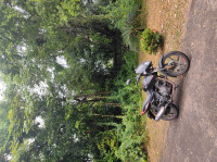 Red Bajaj Pulsar 125 Neon BS6