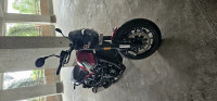 Red Benelli Leoncino 500 BS6