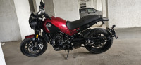 Red Benelli Leoncino 500 BS6