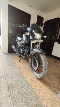 Black Honda Livo 110