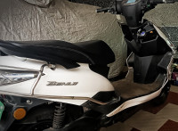 Benling Falcon 2023 Model