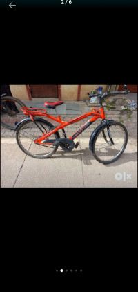 Bicycle Hercules Model