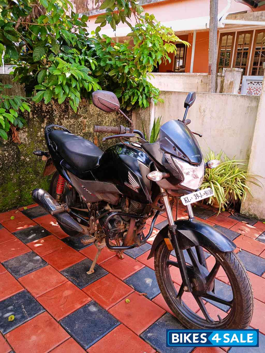 Black Honda Livo 110