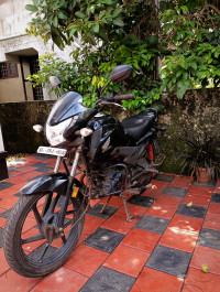 Black Honda Livo 110