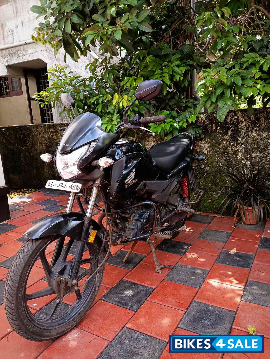Black Honda Livo 110