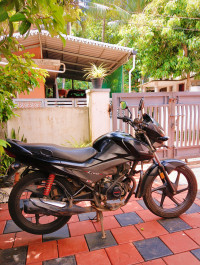 Black Honda Livo 110