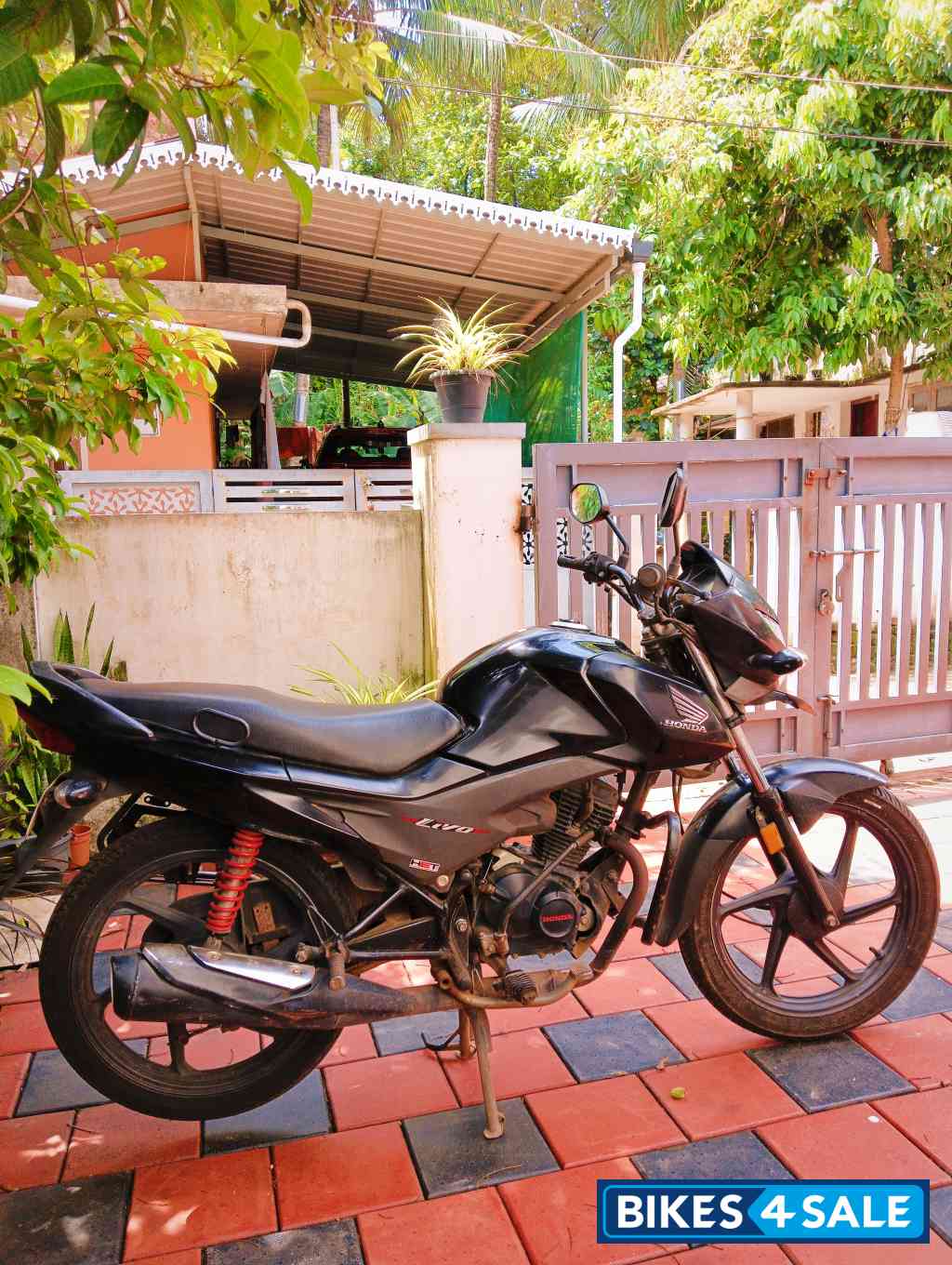 Black Honda Livo 110
