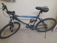 Bicycle Firefox 2018 Model