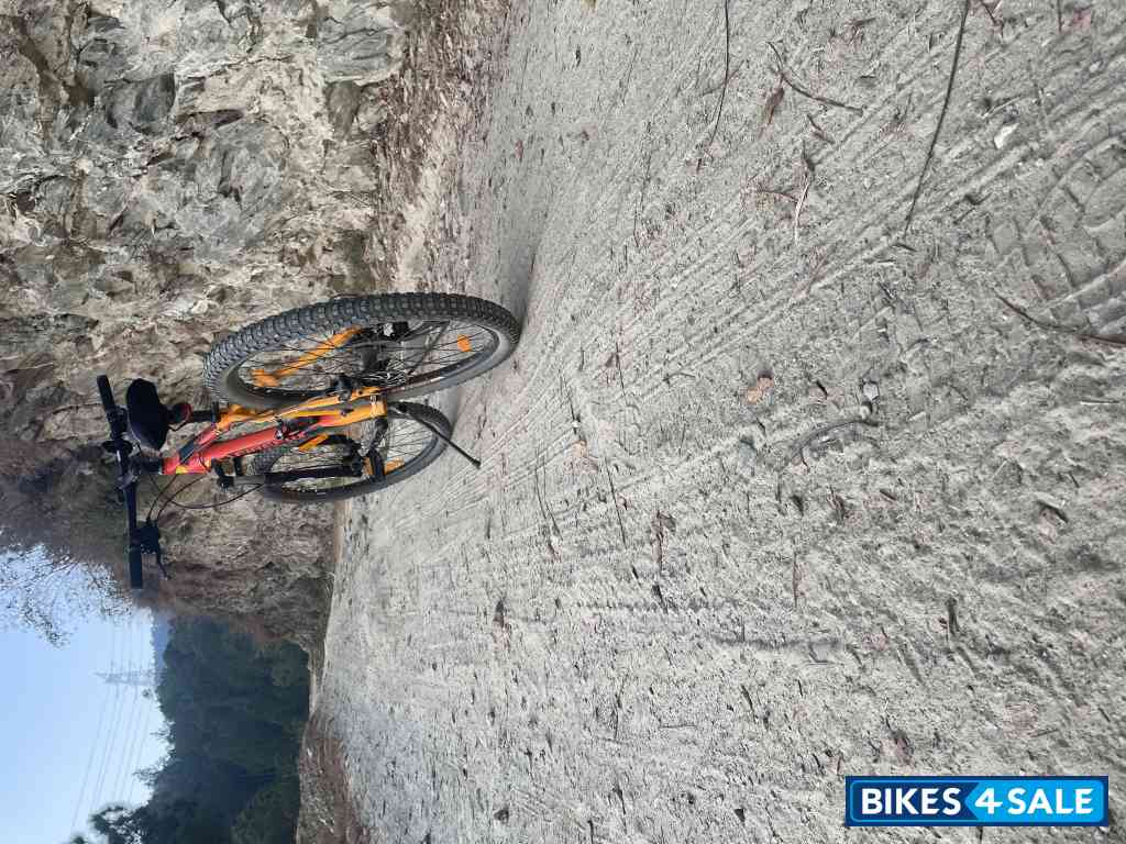 Bicycle Firefox Bicycle Firefox