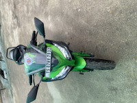 Kawasaki Ninja 300 BS6 2021 Model