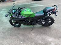 Kawasaki Ninja 300 BS6