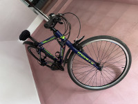 Bicycle Montra
