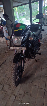 Hero Passion Pro 2014 Model