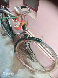 Bicycle Raleigh