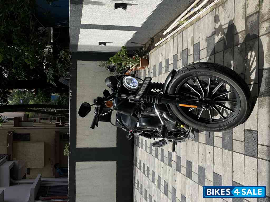 Black Harley Davidson Iron 883