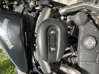 Black Harley Davidson Iron 883