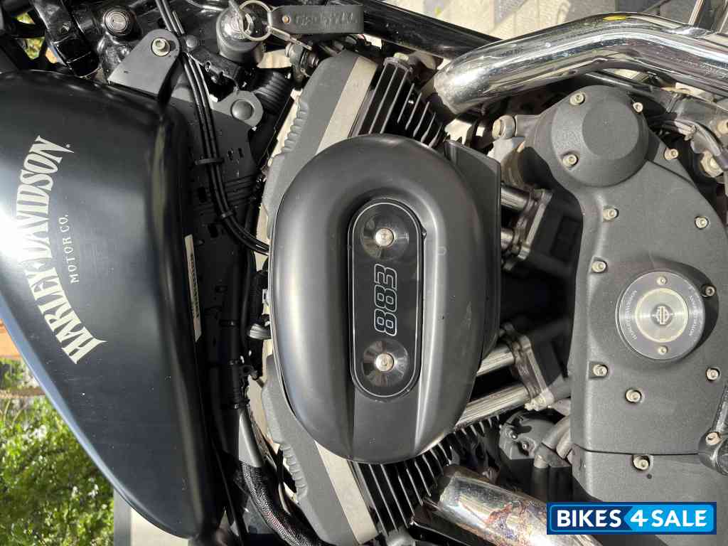 Black Harley Davidson Iron 883