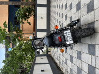 Black Harley Davidson Iron 883